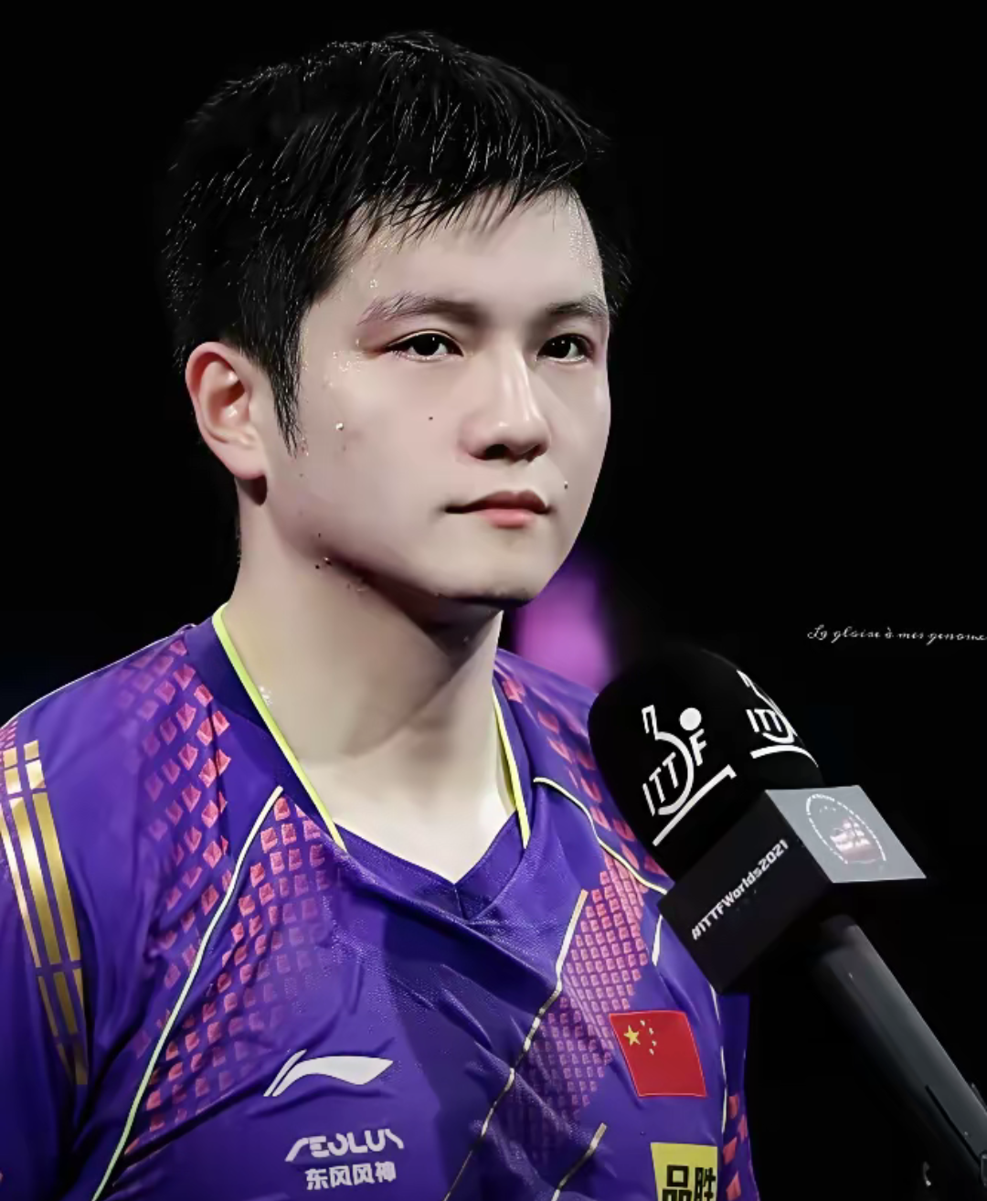 日本队险胜德国队,樊振东带队取胜 日本队险胜德国队,樊振东带队取胜