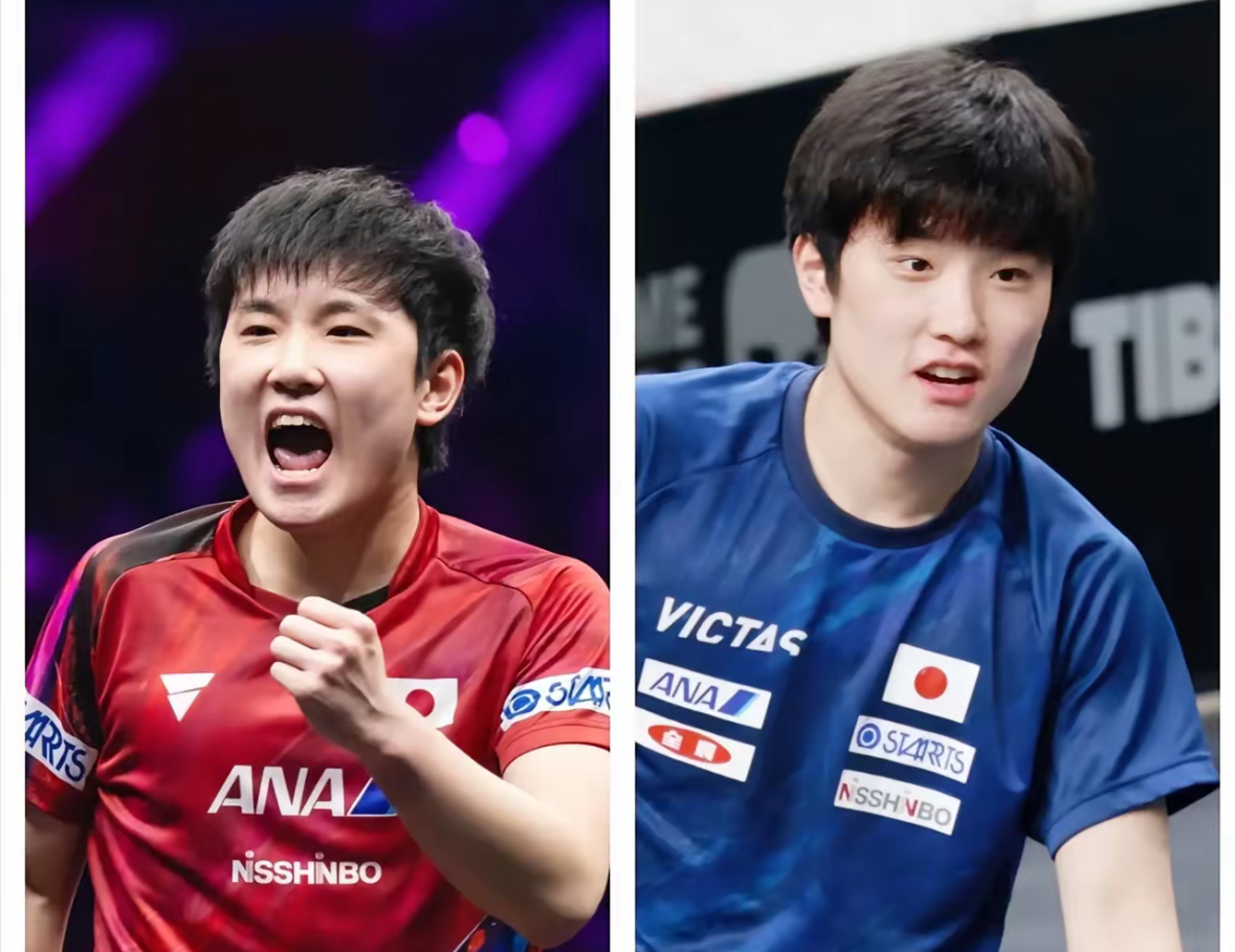 开云下载-日本队绝杀韩国队，张本智和带队取胜