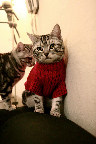 开云体育官方网站-年度焦点之战之夜，萨卡如何以刷新纪录之姿征服赛场？